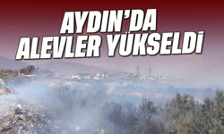 Aydın'da alevler yükseldi: Geniş alana yayıldı