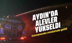 Aydın'da alevler yükseldi: Zamanında müdahale geldi