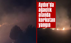 Aydın'da ağaçlık alanda korkutan yangın