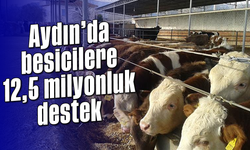 Aydın’da besicilere 12,5 milyonluk destek