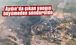 Aydın'da çıkan yangın büyümeden söndürüldü