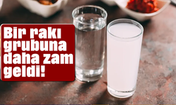 Bir rakı grubuna daha zam geldi!