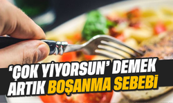 Yargıtay'dan emsal karar: Eşine hakaret eden koca kusurlu sayıldı