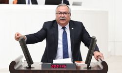 “Zeytinlikler, birkaç şirketin kar hırsına kurban edilemez”