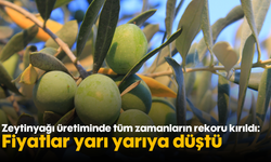 Zeytinyağı üretiminde tüm zamanların rekoru kırıldı: Fiyatlar yarı yarıya düştü