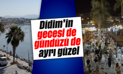 Didim'in gecesi de gündüzü de ayrı güzel