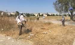 Didim Belediyesi'nden kent genelinde çevre temizliği