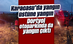 Karacasu'da yangın üstüne yangın: Dörtyol otoparkında da yangın çıktı