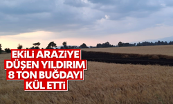 Ekili araziye düşen yıldırım 8 ton buğdayı kül etti