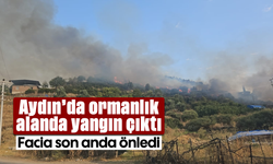 Aydın’da ormanlık alanda yangın çıktı: Facia son anda önledi
