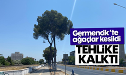 Germencik'te ağaçlar kesildi, tehlike kalktı