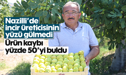 Nazilli’de incir üreticisinin yüzü gülmedi