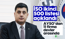 AYSO’dan 11 firma devler arasında