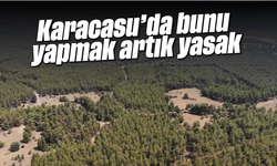 Karacasu'da bunu yapmak artık yasak