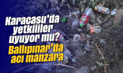 Karacasu'da yetkililer uyuyor mu? Ballıpınar'da acı manzara