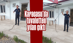 Karacasu'da tuvaletten yılan çıktı