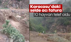 Karacasu'daki selde acı fatura: 10 hayvan telef oldu