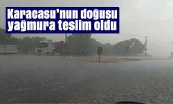Karacasu'nun doğusu yağmura teslim oldu