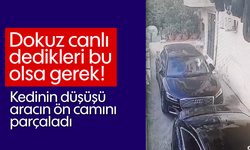 Didim’de şaşırtan olay: Kedinin düşüşü aracın ön camını parçaladı