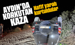 Aydın'da korkutan kaza: hafif yaralı kurtuldular