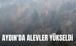 Aydın'da alevler yüksedi