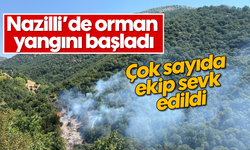 Nazilli’de orman yangını başladı: Çok sayıda ekip sevk edildi