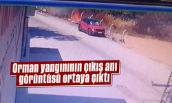 Orman yangınının çıkış anı görüntüsü ortaya çıktı