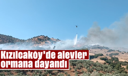 Kızılcaköy’de alevler ormana dayandı