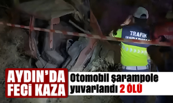 Aydın'da feci kaza: Otomobil şarampole yuvarlandı, 2 ölü