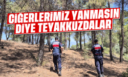 Aydın'da ciğerlerimiz yanmasın diye teyakkuzdalar