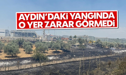 Aydın'daki yangında o yer zarar görmedi