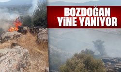 Bozdoğan yine yanıyor