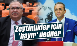 Zeytinlikler için 'hayır' dediler