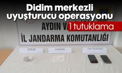 Didim merkezli uyuşturucu operasyonu: 1 tutuklama