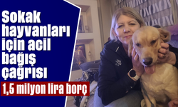 Sokak hayvanları için acil bağış çağrısı: 1,5 milyon lira borç