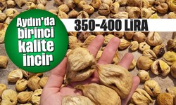Aydın’da birinci kalite incir 350-400 lira