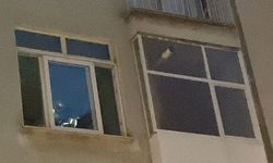 Evini yakmaya çalıştı, gözaltına alındı