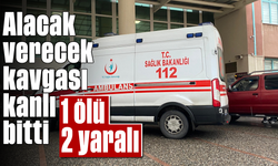 Alacak-verecek kavgası kanlı bitti: 1 ölü, 2 yaralı