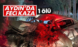Aydın'da acı kaza; 1 kişi hayatını kaybetti