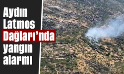 Aydın Latmos Dağları'nda yangın alarmı