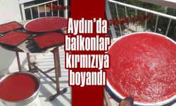 Aydın’da balkonlar kırmızıya boyandı