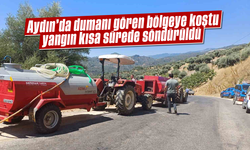 Aydın'da dumanı gören bölgeye koştu, yangın kısa sürede söndürüldü