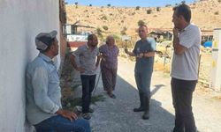 Aydın’da şap hastalığına karşı aşılama çalışmaları sürüyor