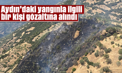 Aydın'daki yangınla ilgili bir kişi gözaltına alındı