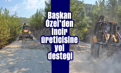Başkan Özel’den incir üreticisine yol desteği