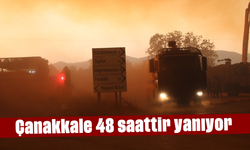 Çanakkale 48 saattir yanıyor