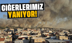 Ciğerlerimiz yanıyor!