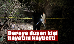 Dereye düşen kişi hayatını kaybetti