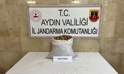 Aydın'da incir hırsızına suçüstü