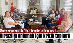 Germencik’te ‘incir’ zirvesi: Hırsızlığı önlemek için kritik toplantı